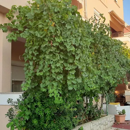Apartmani Leon Simuni Exterior photo