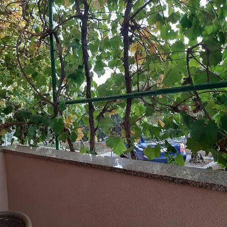Apartmani Leon Simuni Exterior photo