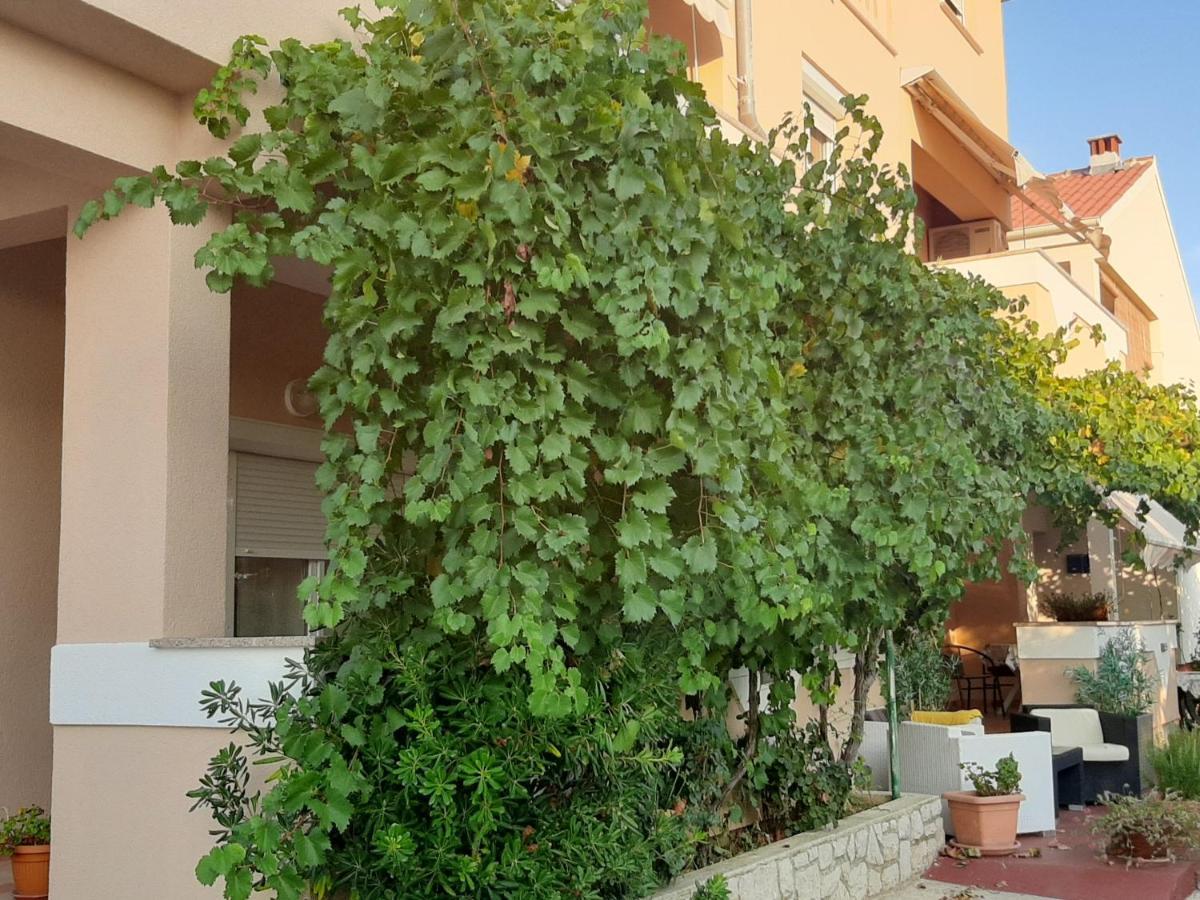 Apartma Leon